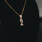 CUSTOM NUMBER PENDANT + CHAIN